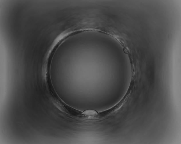 X0000088470056200705221411