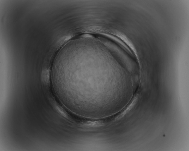 X0000088470057200705221411