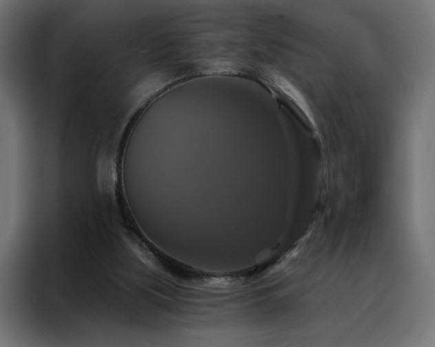 X0000088470059200705221411