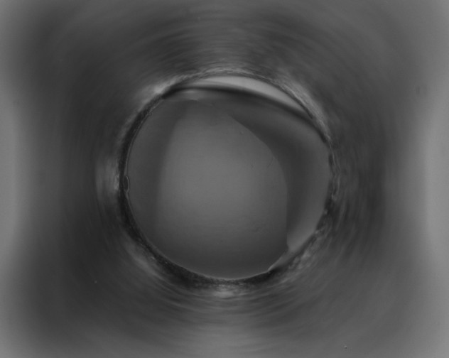 X0000088470060200705221411