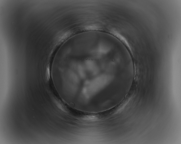 X0000088470061200705221411