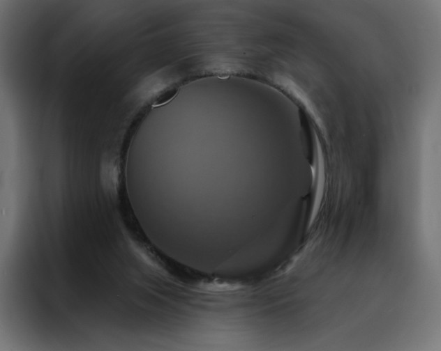 X0000088470063200705221411