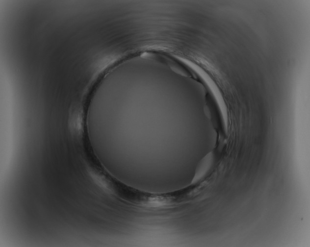X0000088470064200705221411
