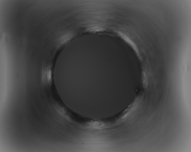 X0000088470067200705221411