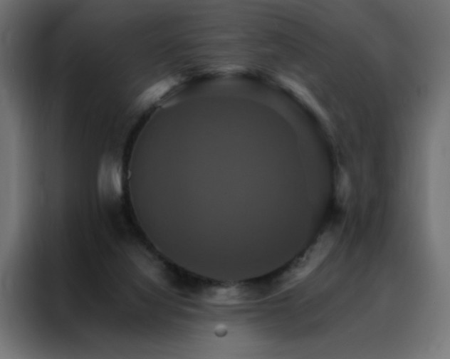 X0000088470068200705221411