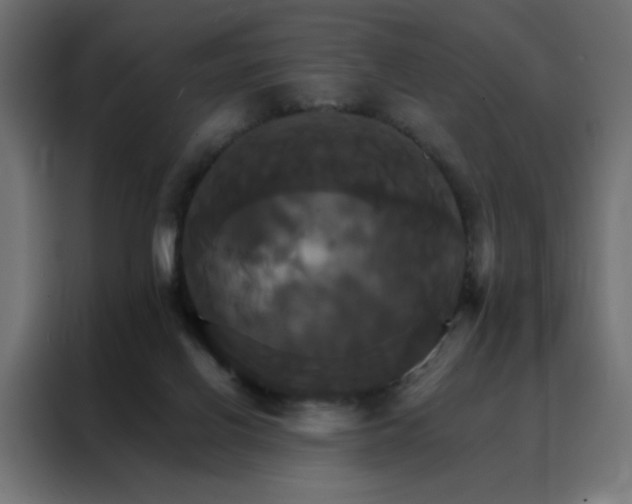 X0000088470070200705221411