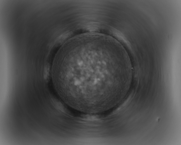 X0000088470073200705221411