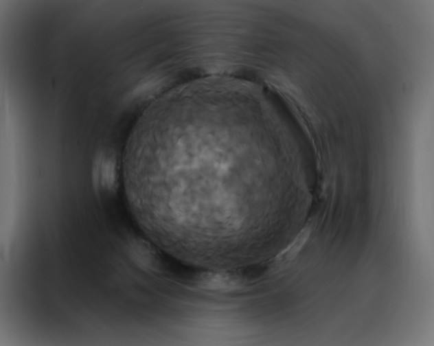 X0000088470074200705221411