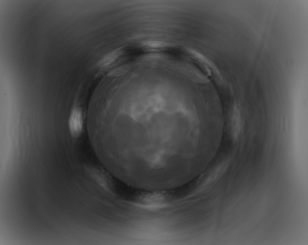 X0000088470075200705221411