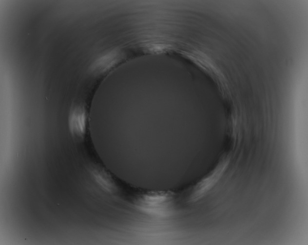 X0000088470076200705221411