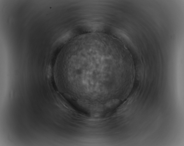 X0000088470077200705221411