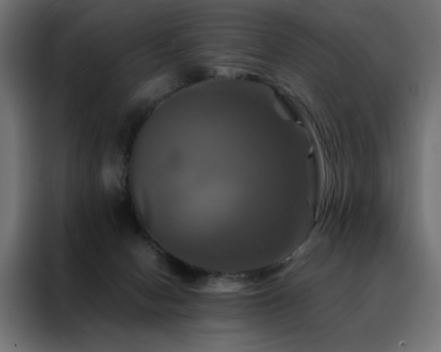 X0000088470078200705221411