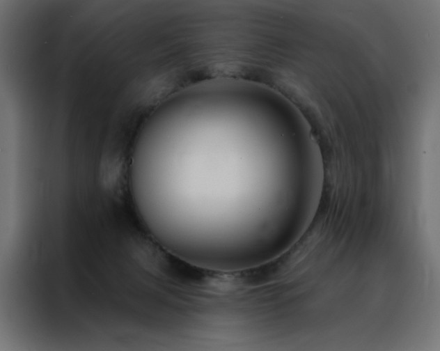 X0000088470079200705221411