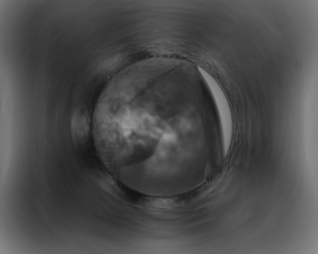 X0000088470081200705221411