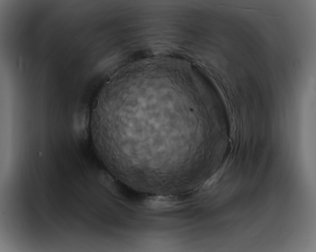 X0000088470082200705221411