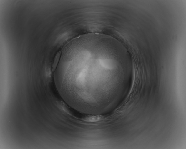 X0000088470084200705221411