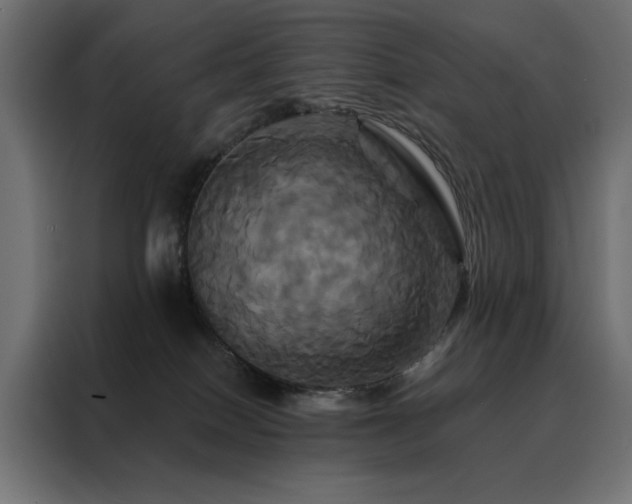 X0000088470086200705221411