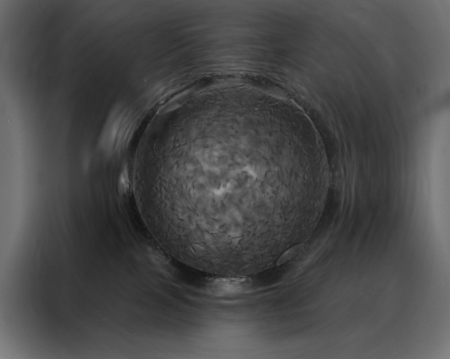 X0000088470089200705221412