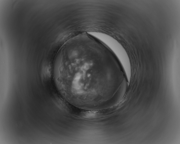 X0000088470090200705221412