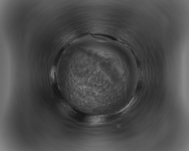X0000088470094200705221412