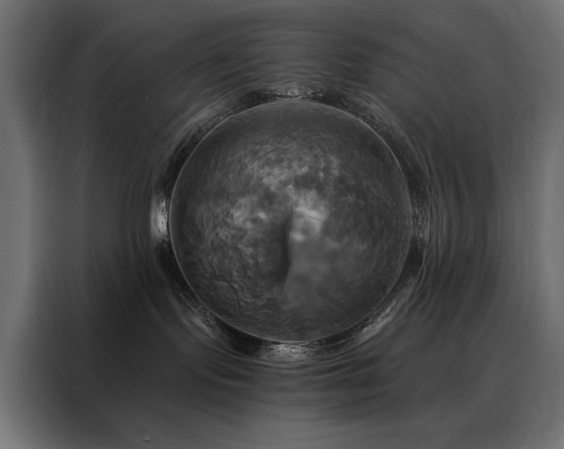 X0000088470095200705221412