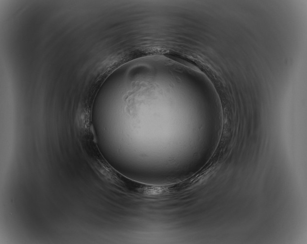 X0000088470096200705221412