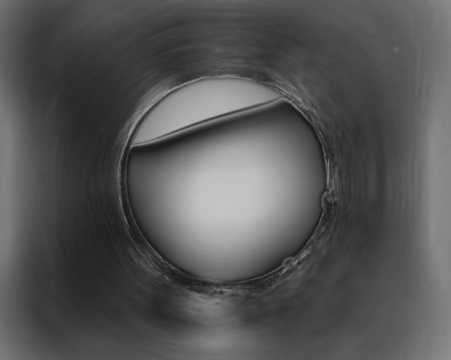 X0000088470099200705221411