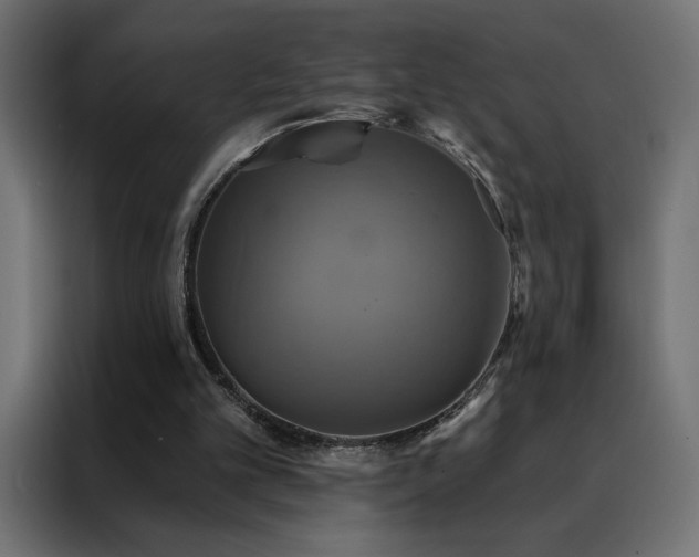 X0000088470101200705221411
