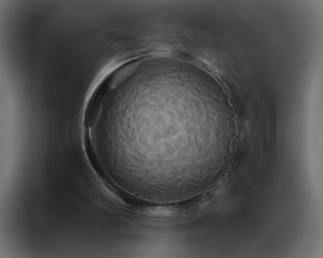 X0000088470102200705221411