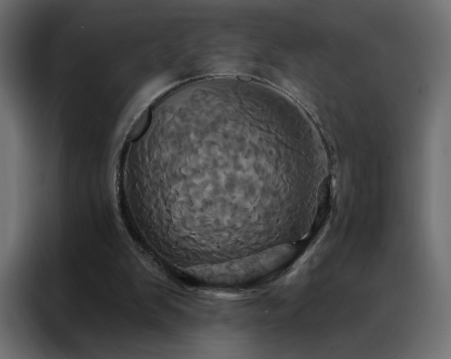 X0000088470103200705221411