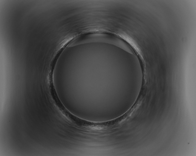 X0000088470105200705221411