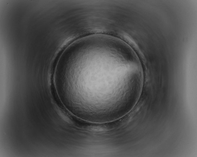 X0000088470106200705221411