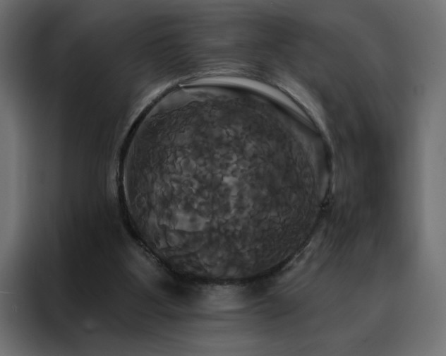 X0000088470107200705221411
