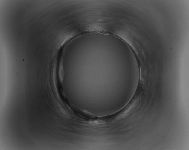 X0000088470109200705221411