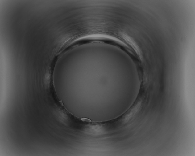 X0000088470113200705221411