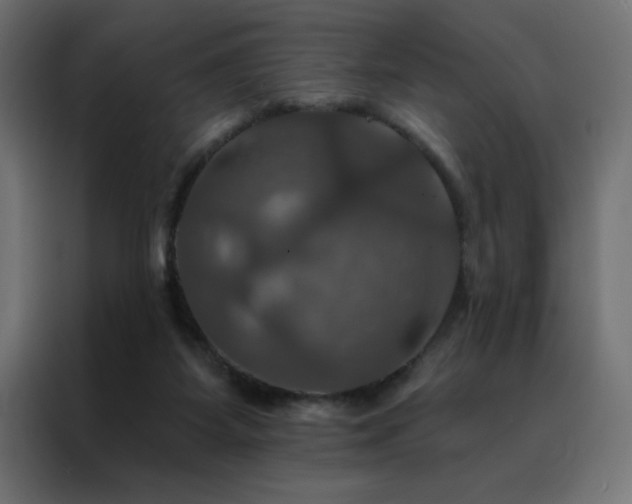 X0000088470115200705221411