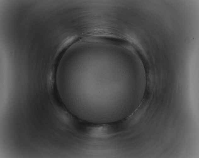 X0000088470116200705221411