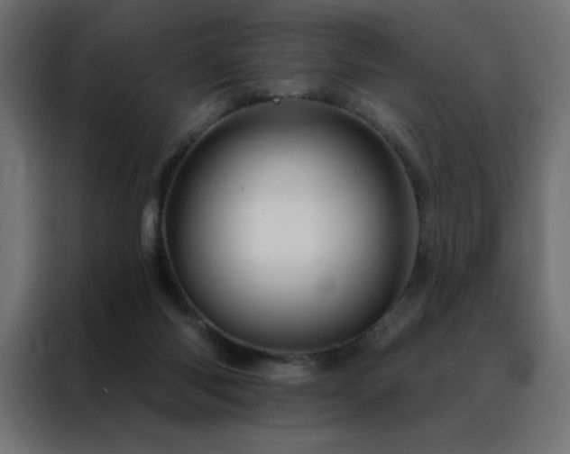 X0000088470118200705221411