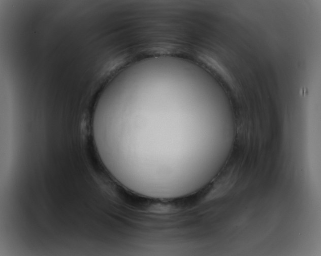 X0000088470119200705221411