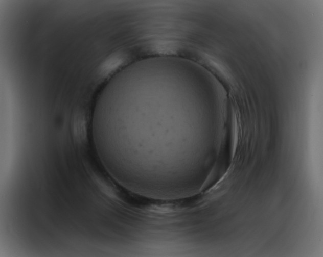 X0000088470120200705221411