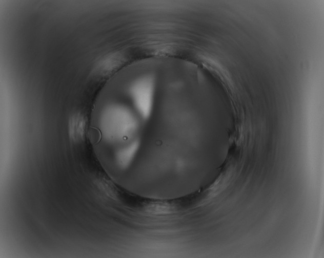 X0000088470123200705221411