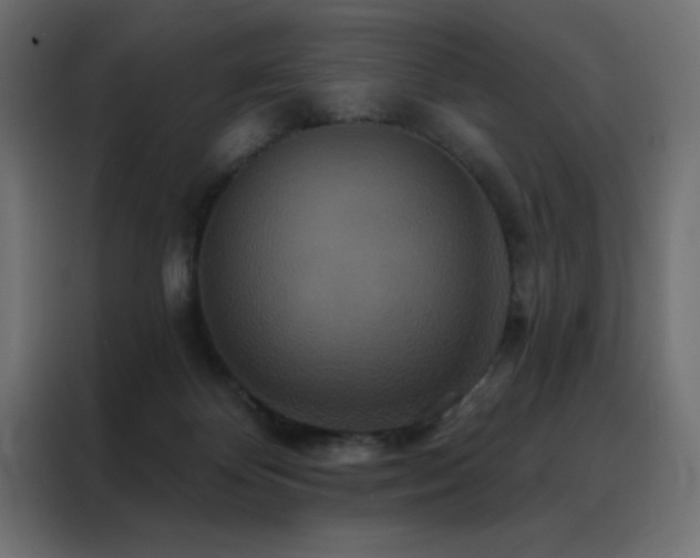 X0000088470124200705221411