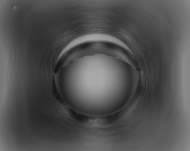 X0000088470125200705221411