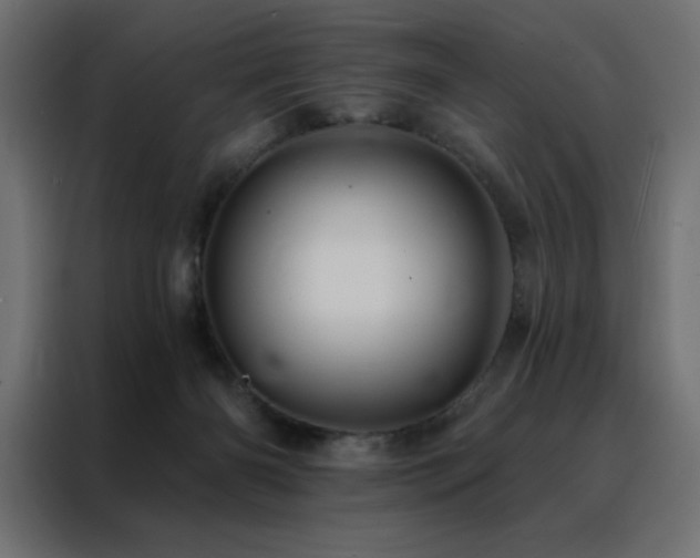 X0000088470126200705221411