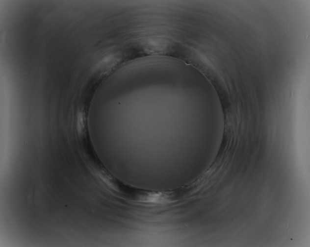 X0000088470130200705221411