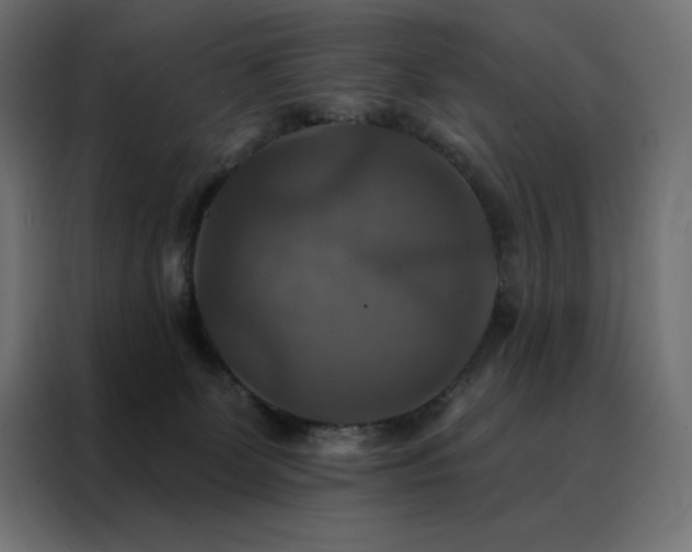 X0000088470131200705221411