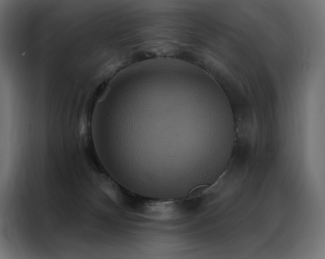 X0000088470132200705221411