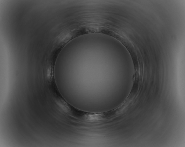 X0000088470134200705221410