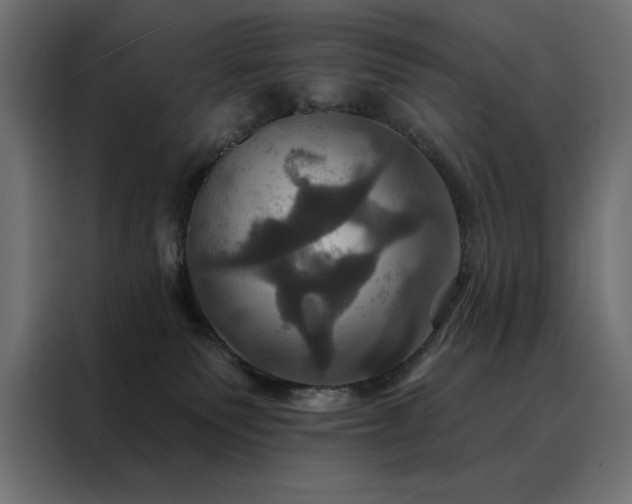 X0000088470135200705221410