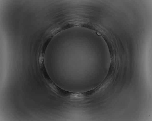 X0000088470137200705221410